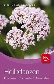 Heilpflanzen erkennen - heilpflanzen:, ·