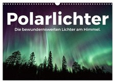Polarlichter - Die bewundernswerten Lichter am Himmel. (Wandkalender 2026 DIN A3