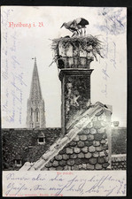 AK -   Freiburg im Breisgau - Münster mit Storchennest - gel. 1901