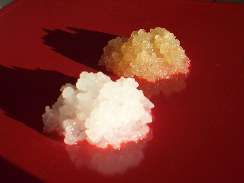 Pilze wasserkefir kefir - pilze:,