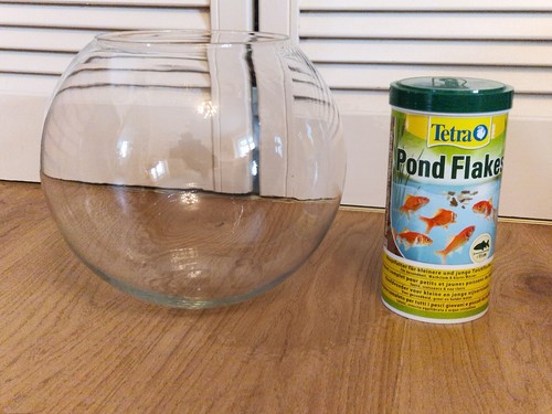 Altes großes goldfischglas - altes,