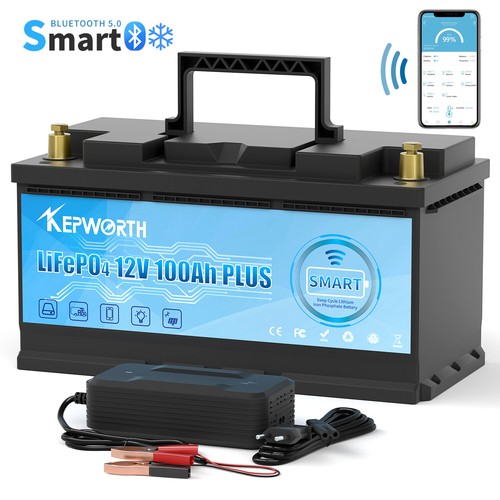 12v 24v 48v - 48v, 100ah