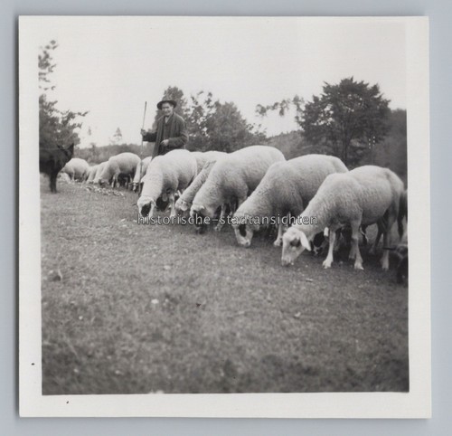 Gößweinstein 1937 schäfer - -,