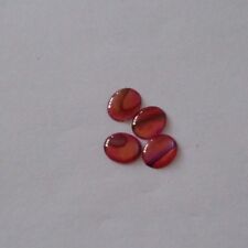 4 Stück Abalone Shell