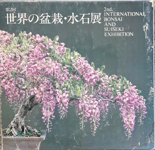 Bonsai 2nd international - 2nd,