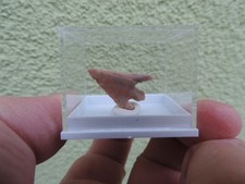 schöne Steinzeit-Pfeilspitze Neolithikum aus Algerien