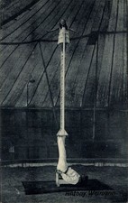 Ak Zirkus, Akrobaten, Antony Weimann - 11227327