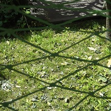 Nylon Seil Meshy Hängebett