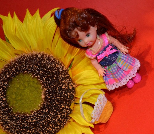 Barbie shelly kelly - shelly, club