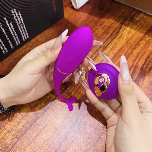 Fernbedienung vibro - fernbedienung, ei