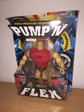 WWE Wrestling Pump'n Flex