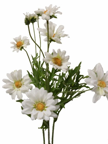 Künstlicher margerite zweig - künstlicher,