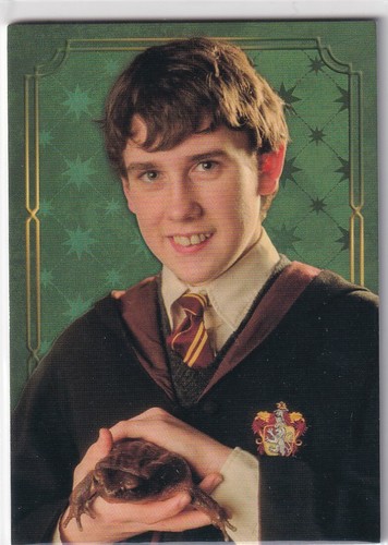 Panini harry potter evolution - panini,