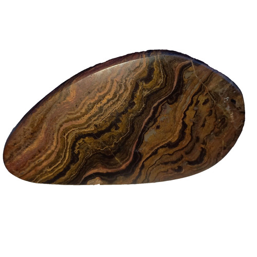 Stromatolith cyanobakterien - stromatolith,