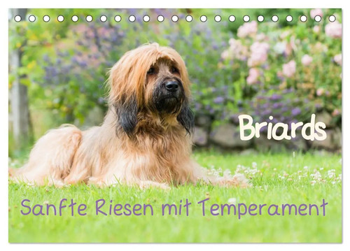 Briards sanfte riesen mit - briards,