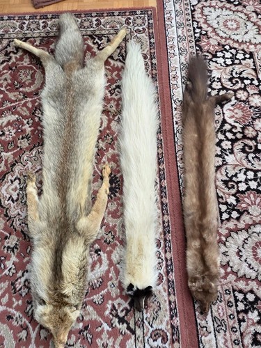 Pelz stola fuchs - stola,
