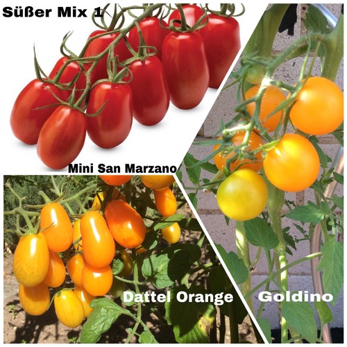 Samen süß mix - 30,
