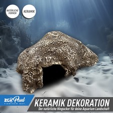 ⛰️ ZooPaul Terrarium