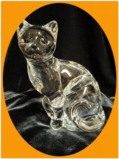 NACHTMANN süße Katze 1 kg