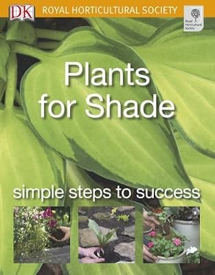 Plants for shade - plants, steps