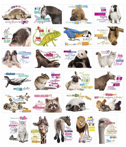 Edition seidel set - edition,