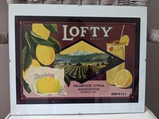 2 Original Lemon Crate Labels USA 1930/40 alte Werbeplakate Zitronen unter Glas