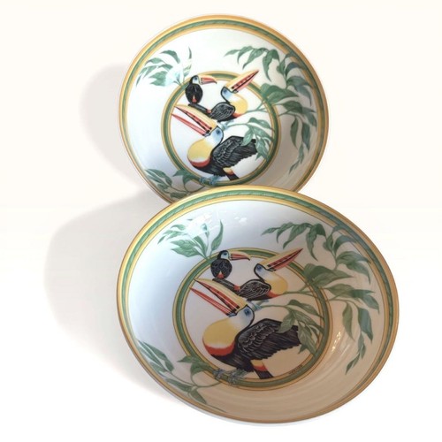 Hermes toucans porzellan - toucans,