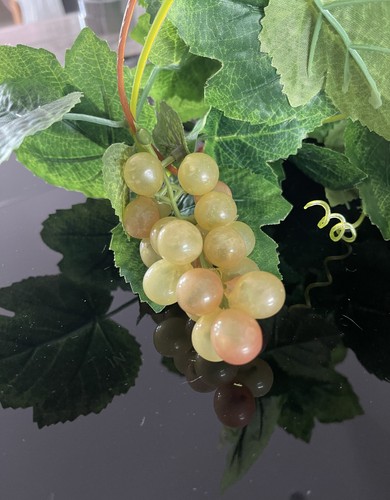 Weinlaub mit weintrauben - 3, m