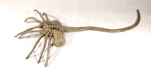 Facehugger aus alien 1 - facehugger, 1/1