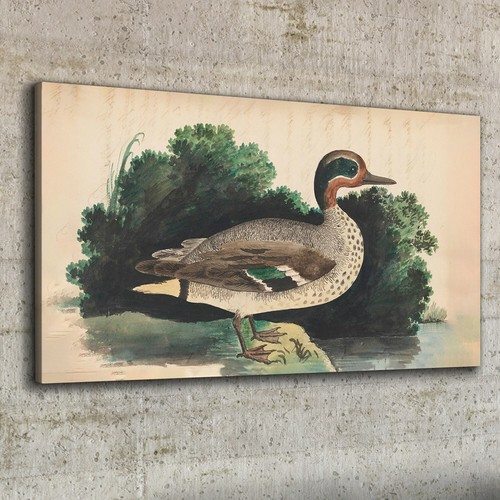 Canvas wandbild leinwand - canvas,