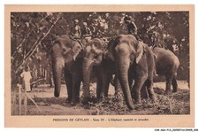 CAR-AGAP12-0620-SRI-LANKA -