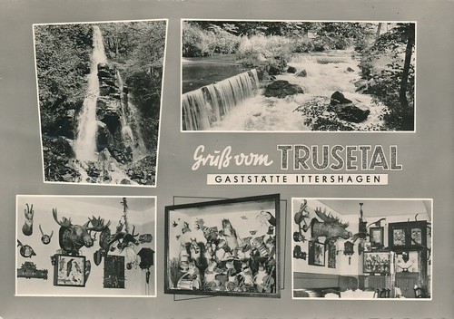 Alte trusetal - sw,