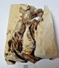 Bastelholz  DIY Skulptur Holunder Wurzelholz