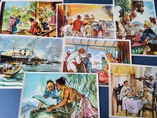 SANELLA Sammelbilder - 16