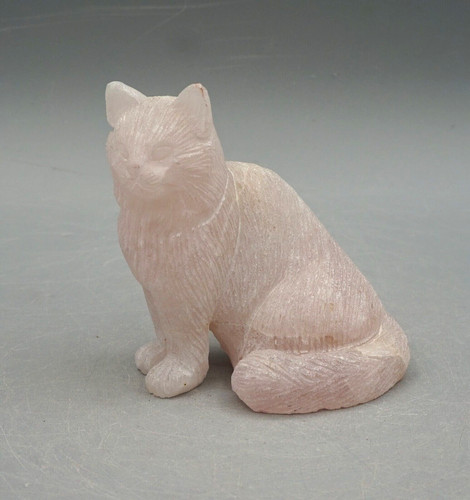Norwegische waldkatze aus - norwegische,