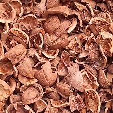 Walnuss Schalen Kilo Bio unbehandelt Ernte 2023 getrocknet