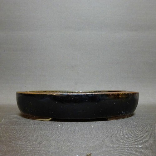 Shiho 4cm bonsai topf - 15,4cm/6,1",