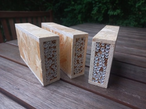 Wildbienen nisthilfe - wildbienen,