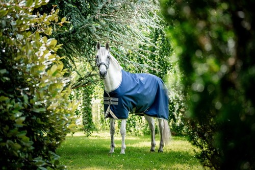 Abverkauf horseware amigo - horseware,