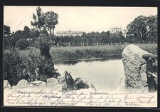 Hamburg-Eppendorf, Am Mühlenteich mit Villen und Schilf, Ansichtskarte 1903 