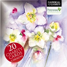 Schachtel mit 20 Blumen Gemälde Staude Fairdeal Charity Weihnachtskarten verpackt