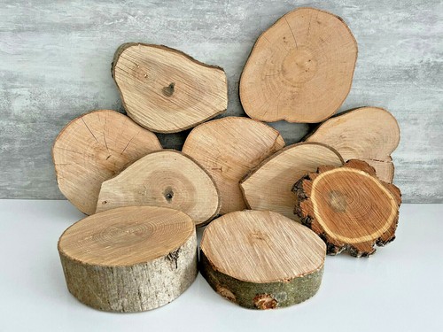 Baumscheiben set stk - baumscheiben,