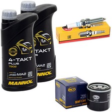 Set Öl 2L Inspektion für