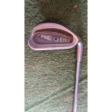 Ping Auge 2 Blauer Punkt R