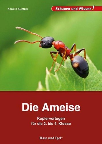 Die ameise kopiervorlagen - ameise,