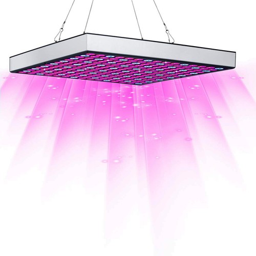 Blumenlampe vollspektrum - blumenlampe,