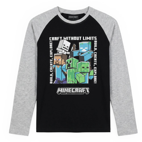 Minecraft langarmshirt - minecraft,