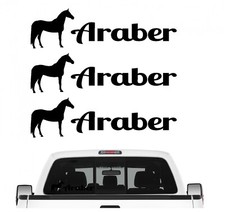 Araber vollblut aufkleber - araber, 3er