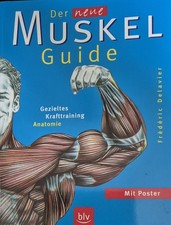 Muskel-Guide. Gezieltes