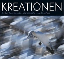 Kreationen: Ein Jahr
